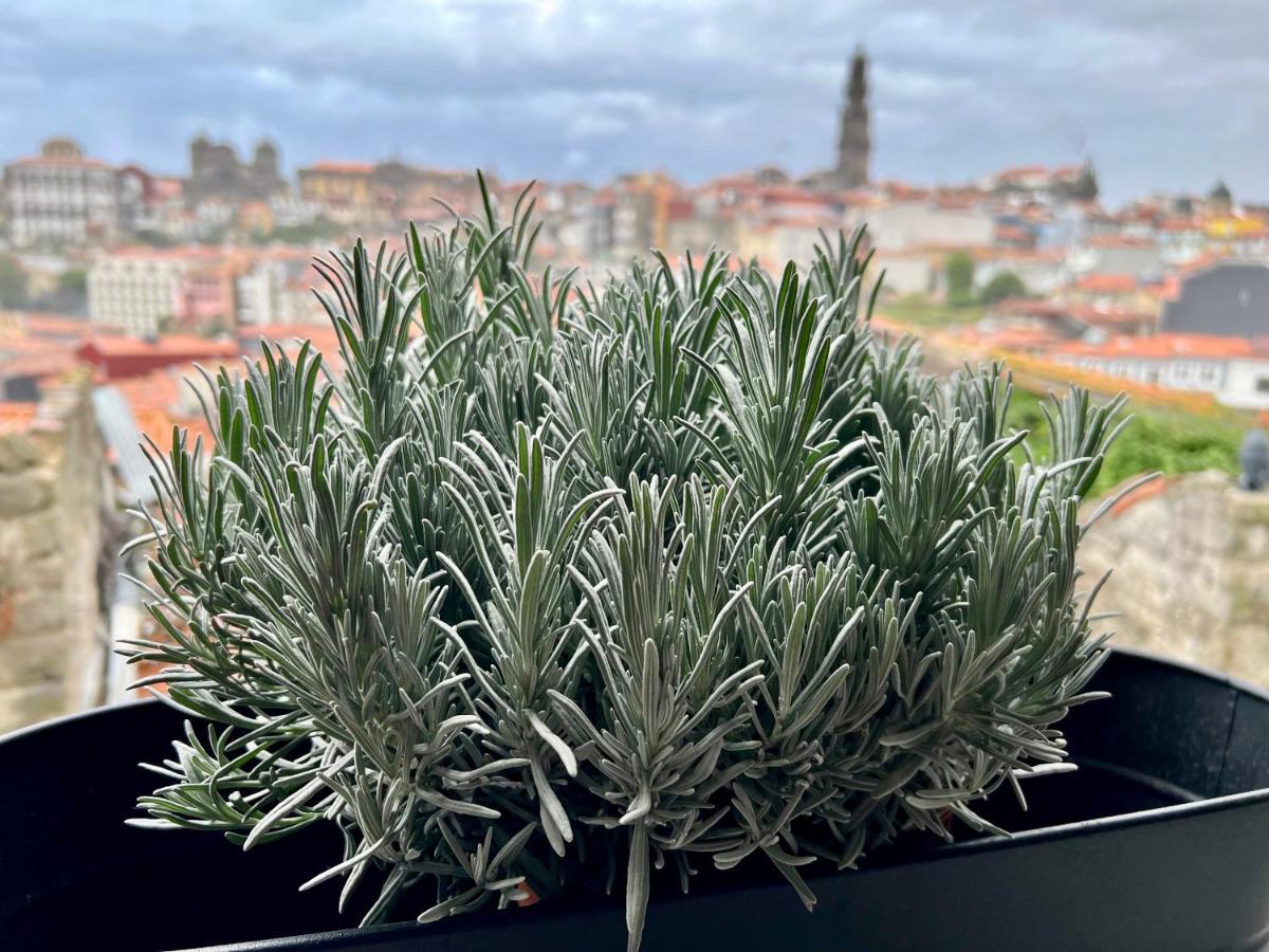 Urban Apartment Casa Da Portela Porto Zewnętrze zdjęcie