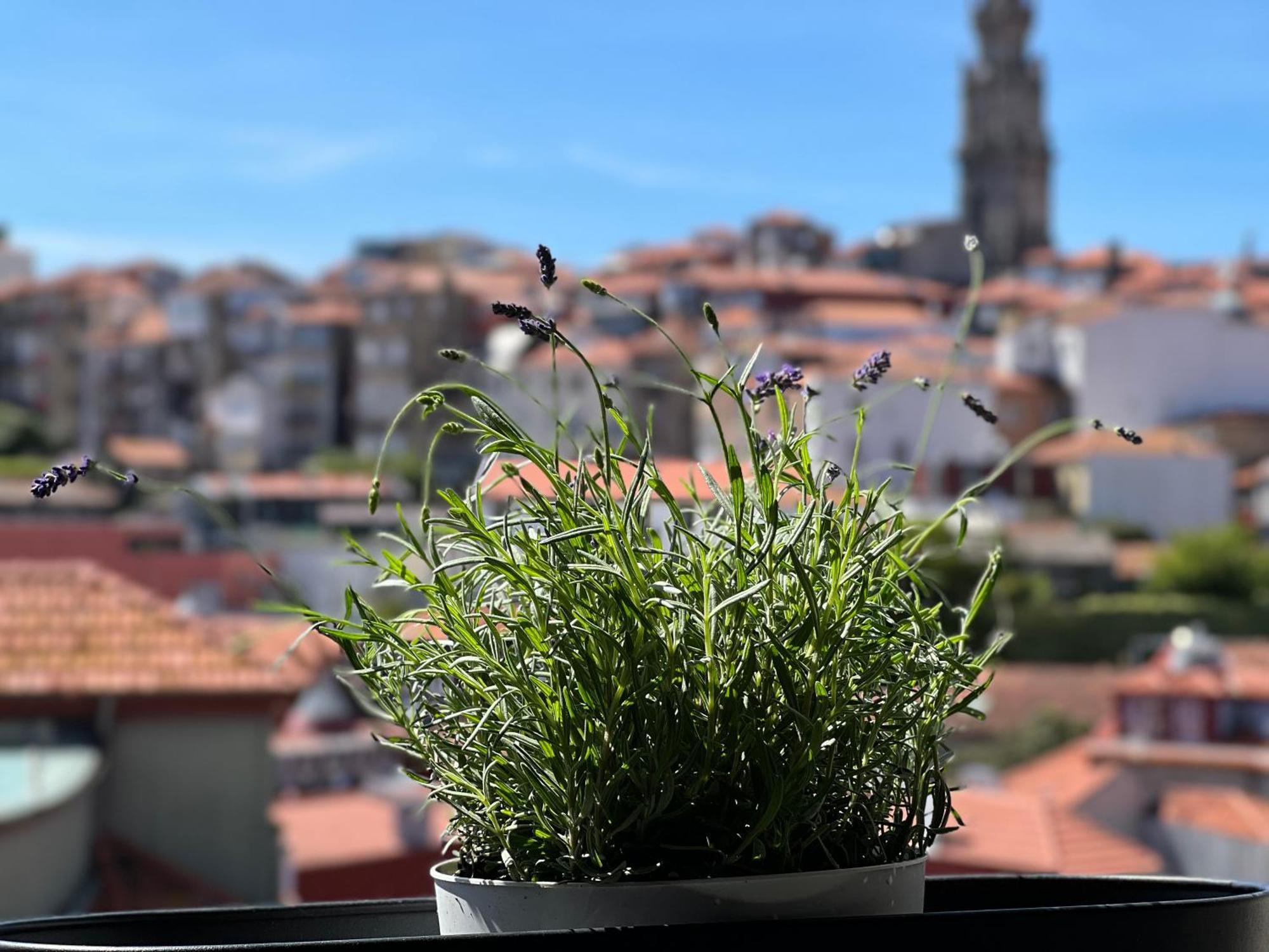 Urban Apartment Casa Da Portela Porto Zewnętrze zdjęcie